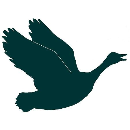 The Honking Goose Inn Amsterdam Екстер'єр фото